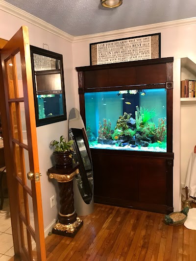 Creative Aquarium Nation