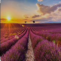 Sgs conciergerie - Photo 7