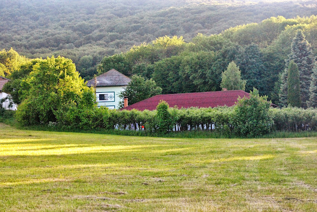 Opinii despre Hotel Activ Parc Negresti în Negrești - Hostal