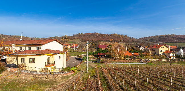 Stupnički Dvori - Slavonski Brod
