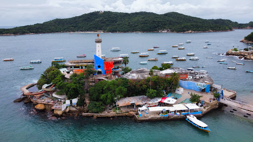 Magico Mundo Marino