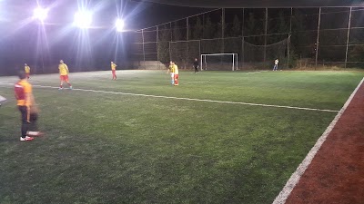 stadium