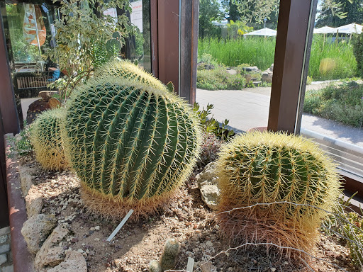 Palmenhaus Coburg - Visual