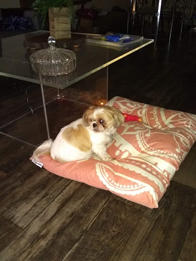 Bortell Animal Hospital