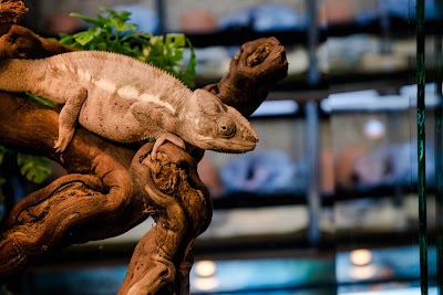 Photos of Mike's Reptipark