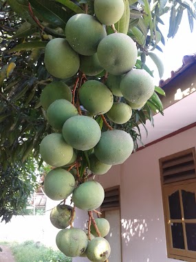 Pangkas Rambut Sahabat, Author: Iwan Santoso