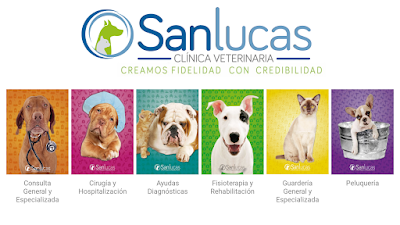 Photos of Cl&iacute;nica Veterinaria San Lucas