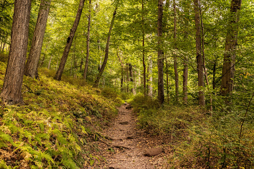 Douglas Trail - Thumbnail