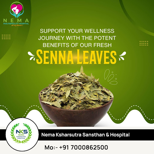 Support your wellness journey with the potent benefits of our fresh Senna Leaves! post image