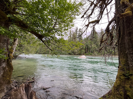 Goodell Creek Campground - Thumbnail
