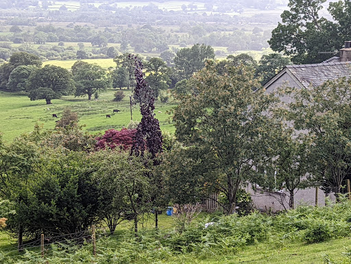 Millbeck Towers - Visual