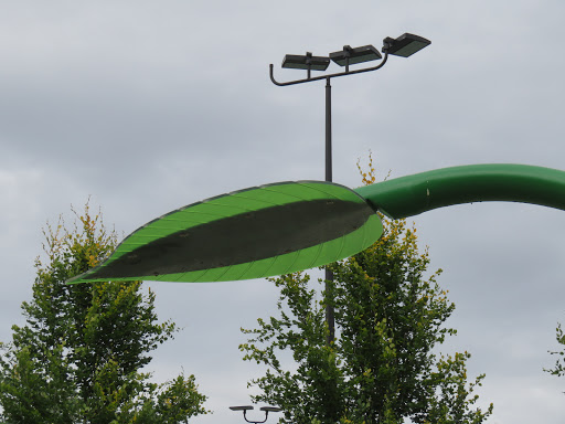 Mackin Spray Park - Thumbnail