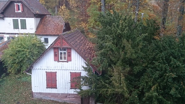 Das Palmenwald Schwarzwaldhof, BW Signature Collection by Best Western