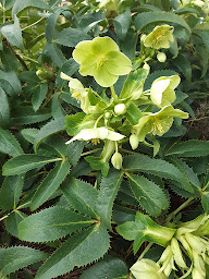 Photo n°21 de Domaine de Bellyvières à Le Controis-en-Sologne (Gîte)