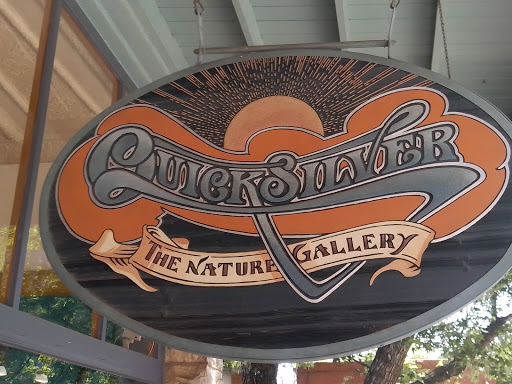 Quicksilver Gallery - Visual
