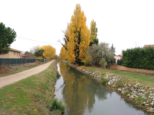 Acequia - Thumbnail