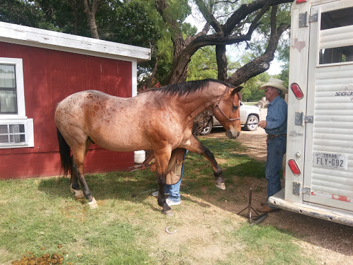 Lambshead Ranch - Visual