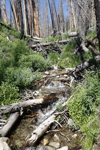 Baker Lake Trailhead - Thumbnail