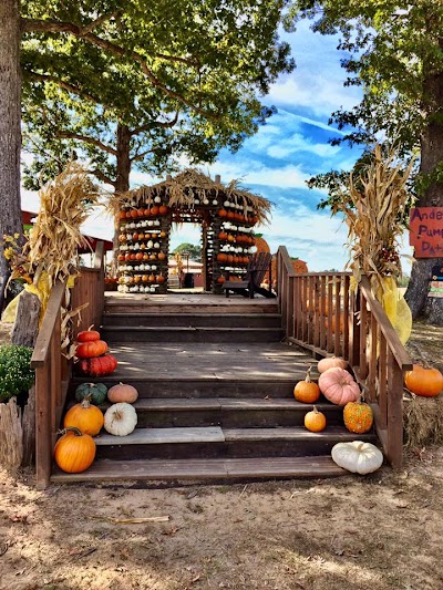 Anderson Farms Pumpkin Patch