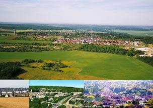 Photo n°4 de POUR LA FERTE ALAIS à La Ferté-Alais (Association bénévole)