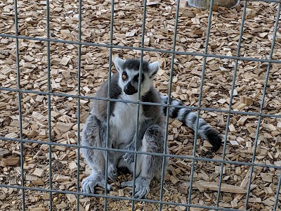 Trowbridge Creek Zoo