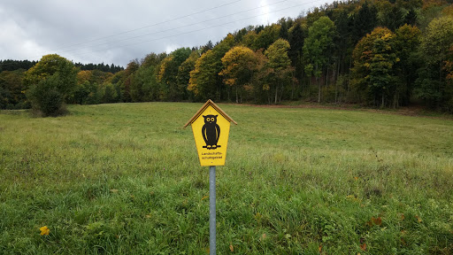 Parkplatz am Wartberg - Visual