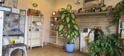 Donaldson Animal Hospital - Thumbnail