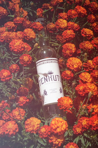 Casa Tenkutli - Thumbnail