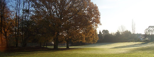 Micklands Primary School Gallery - United Kingdom