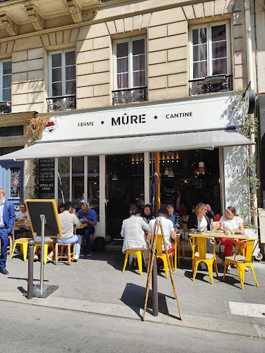 MÛRE - Visual