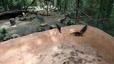 Photos of Tallahassee Museum