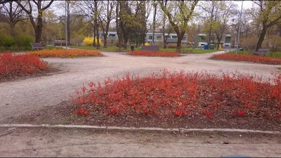 Photos of Kodu Park