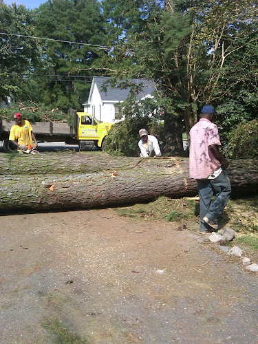 Levon's Tree Service