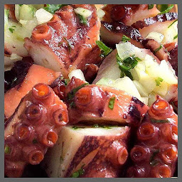 Photo n°5 de Portugalia à Dreux (Restaurant portugais)