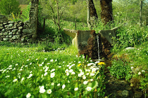 Photo n°24 de La Grange de Brudour à Aspres-lès-Corps (Lodge)