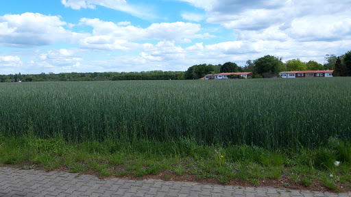 Schallweg (Berlin) - Visual