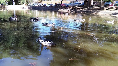 Photos of Sarnia Japanese Gardens