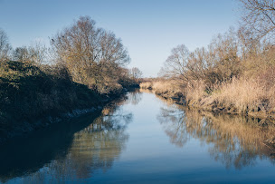 Photo n°6 de Mairie de Bouguenais à Bouguenais (Hôtel de ville)