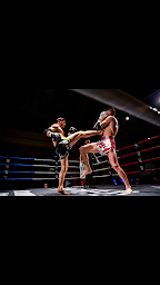 Photo n°3 de FIGHT-CLUB 26 * Team de MMA * PANCRACE * K1 rules * MUAY~THAI * KICK~BOXING * à Romans-sur-Isère (Salle de boxe thaïlandaise)