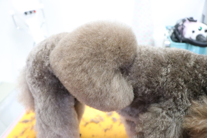 トリミングサロン カルマ