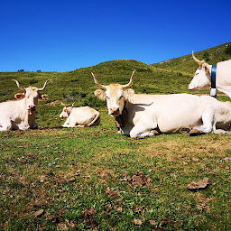 Photo n°5 de Ferme Burubeltx à Urepel (Fromagerie)