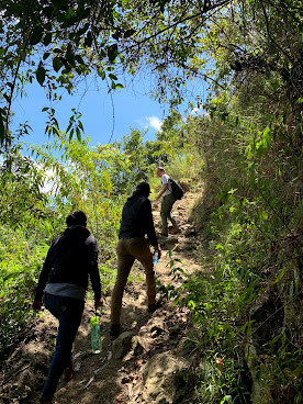 Aveley Farms Coffee Roasters by null