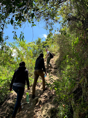 Aveley Farms Coffee Roasters by null