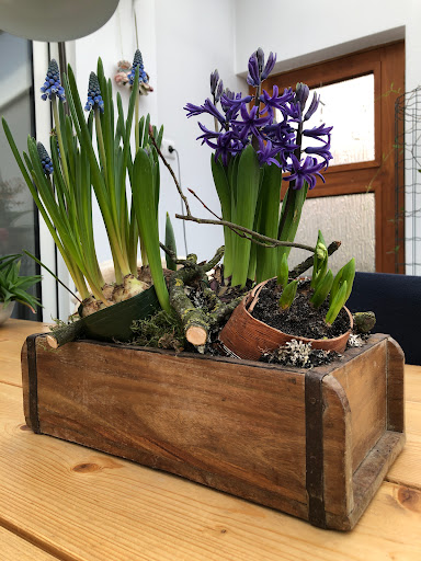 Kok Bloemenservice Gallery - Netherlands