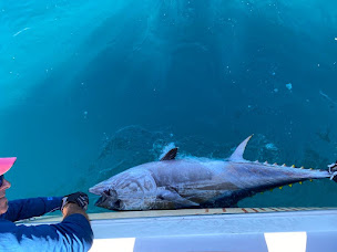 Photo n°6 de MÉDITERRANÉE SPORT FISHING - GUIDE DE PÊCHE - PÊCHE DU THON ROUGE EN MÉDITERRANÉE à Port-Saint-Louis-du-Rhône (Club de pêche)