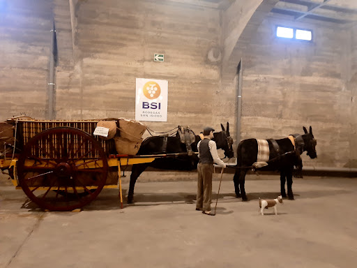 Bodegas BSI - Visual