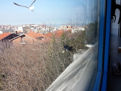 Photos of Liceo Scientifico Galileo Galilei