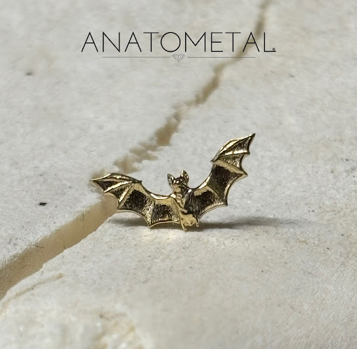 15 Rue Amiral Romain Desfosses, 29800 Landerneau