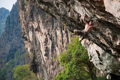 Photos of Green Climbers Home