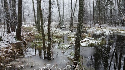 Photos of ZACKAGIRIO (DZIACKAGIRIO) PAŽINTINIS TAKAS
